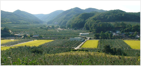 경북 청송군 현동면 개일리 마을 모습